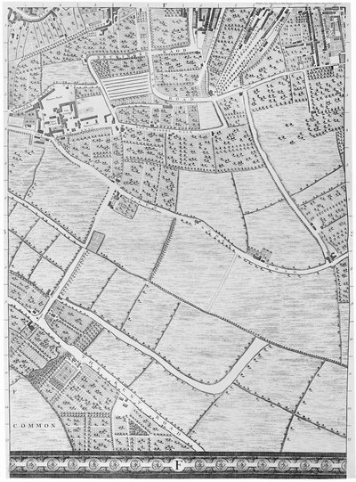 A Map of Bermondsey, London by John Rocque